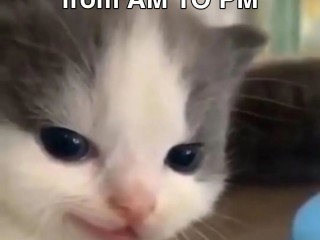 Screenshot_20230519_140127_Instagram