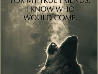 357762206_594108979504991_6504366285744846565_n