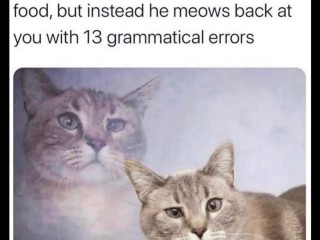 FB_IMG_1688579194073