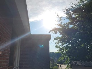 FB_IMG_1688767790176