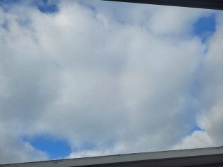 FB_IMG_1683310466385